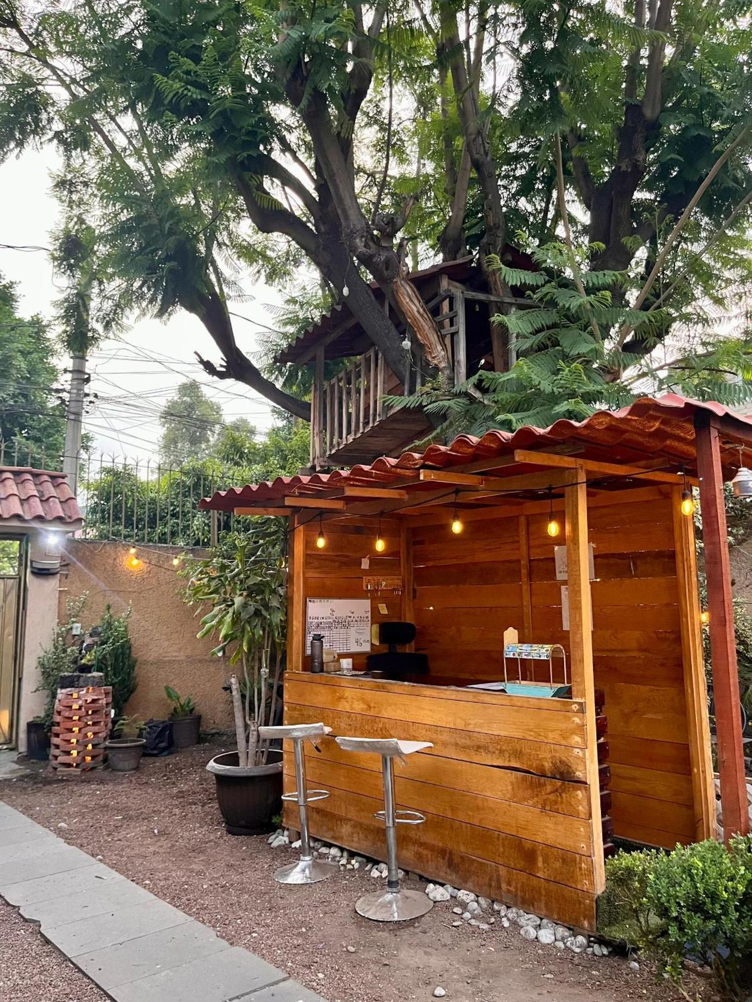 Alojamiento Casita del Árbol Cidade do México Exterior foto