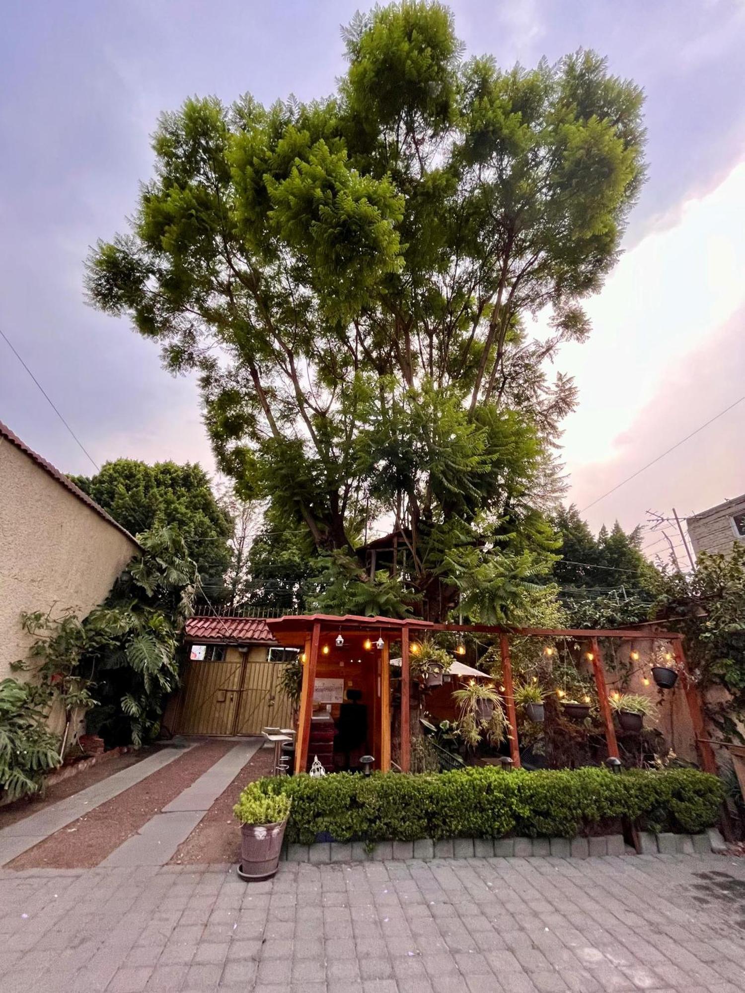 Alojamiento Casita del Árbol Cidade do México Exterior foto
